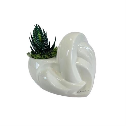 Vaso cuore intrecciato bianco con piantina