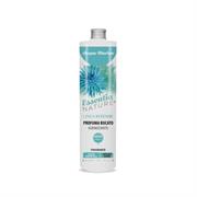 Profuma bucato igien.Acqua Marina