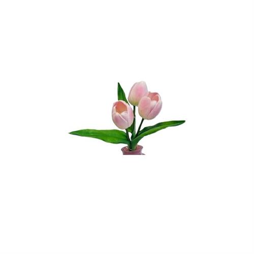 Tulipani rosa 3 pz Claraluna