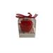 Box 6 candele rosa laccato rosso