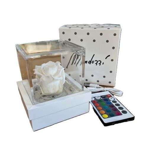 Lampada led con rosa stabilizzata