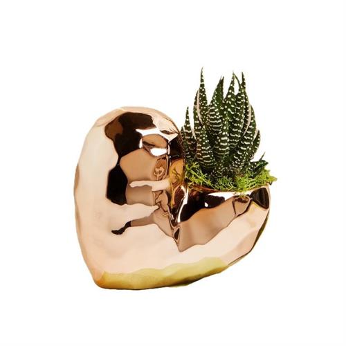 Caspeau cuore alto oro rosa con piantina grassa