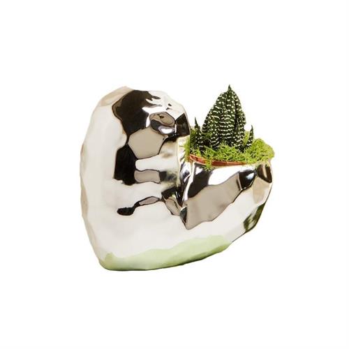 Caspeau cuore alto silver con piantina grassa