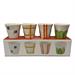 Set 4 bicchierini caffè fantasie assortite orange Easy Life