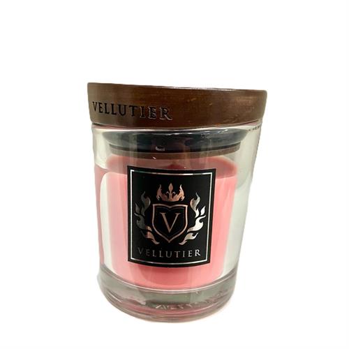 Candela Vellutier Succulent Pink Grapefruit