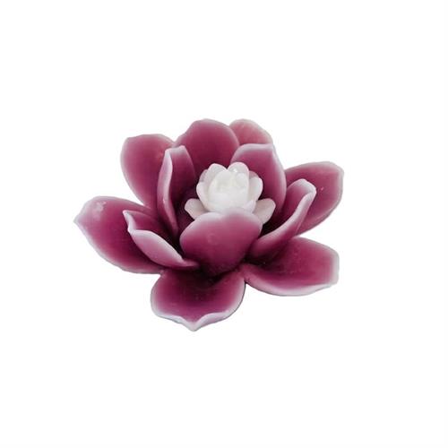 Fior di loto rosa antico